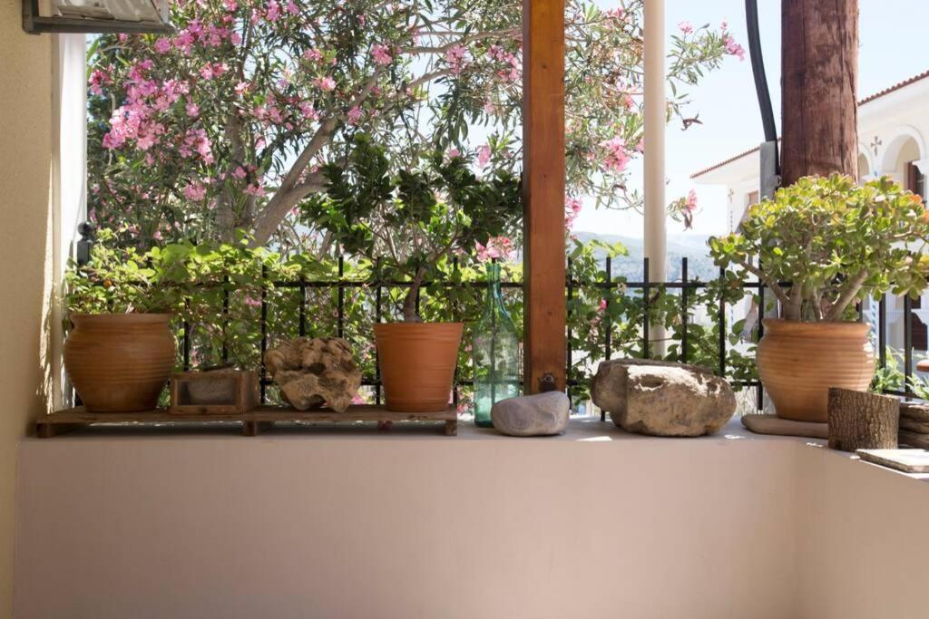 Kostas' House Argostoli Argostoli (Kefalonia) Exterior foto
